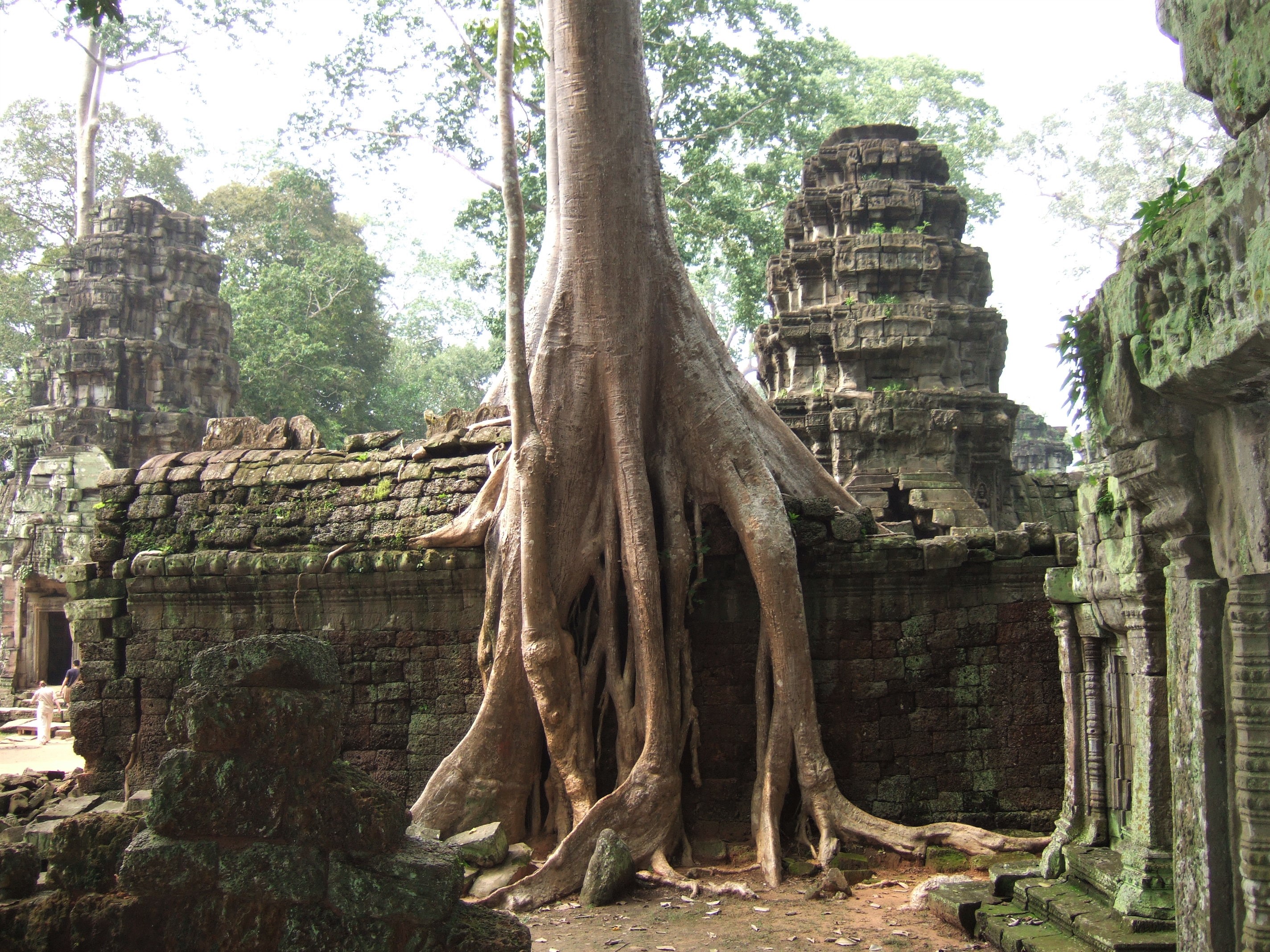Angkor, Cambodia